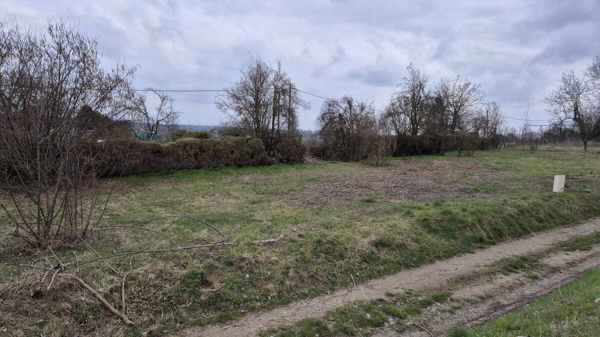Terrain à EGUISHEIM
