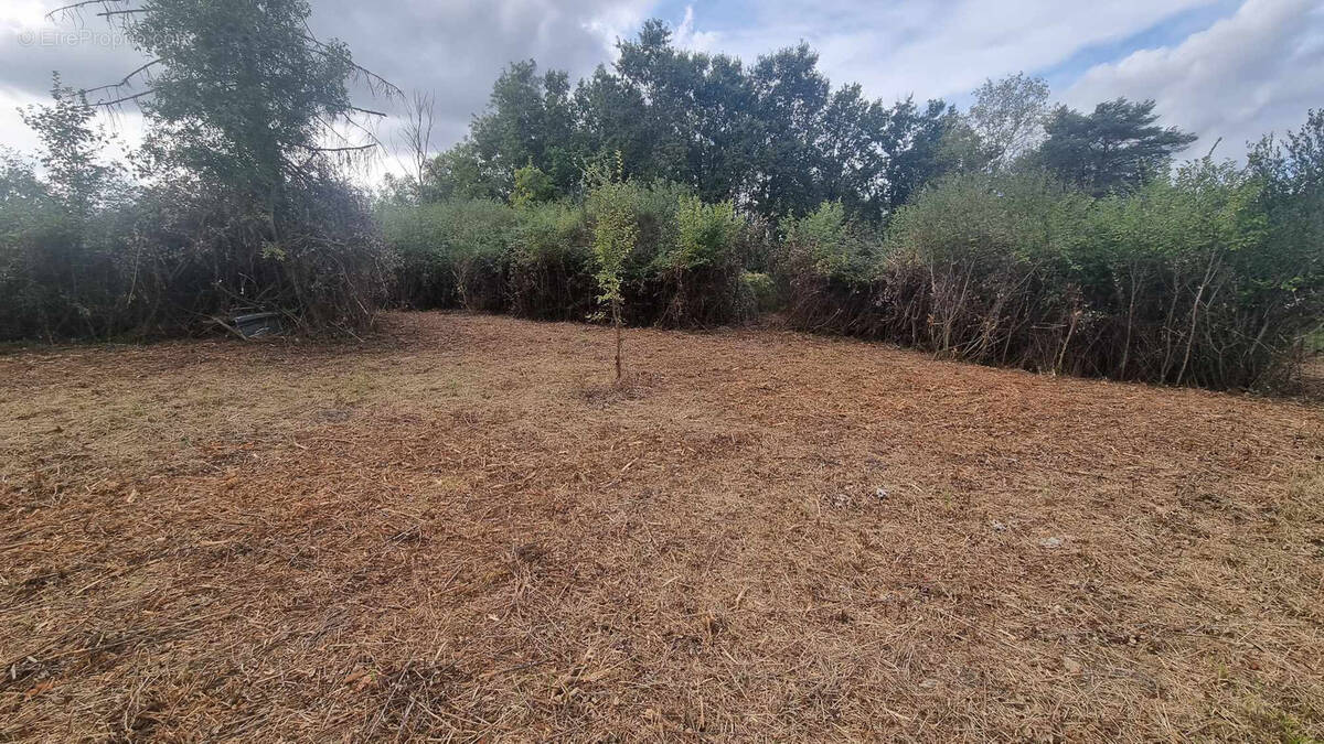 Terrain à MERY-SUR-CHER