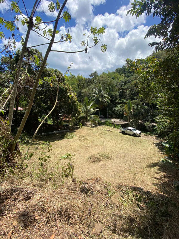 Terrain à LES TROIS-ILETS