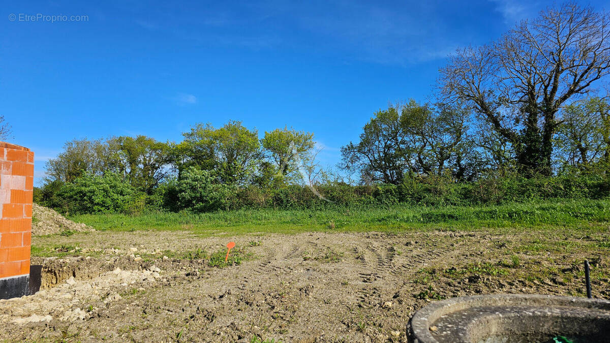 Terrain à LOIRE-LES-MARAIS
