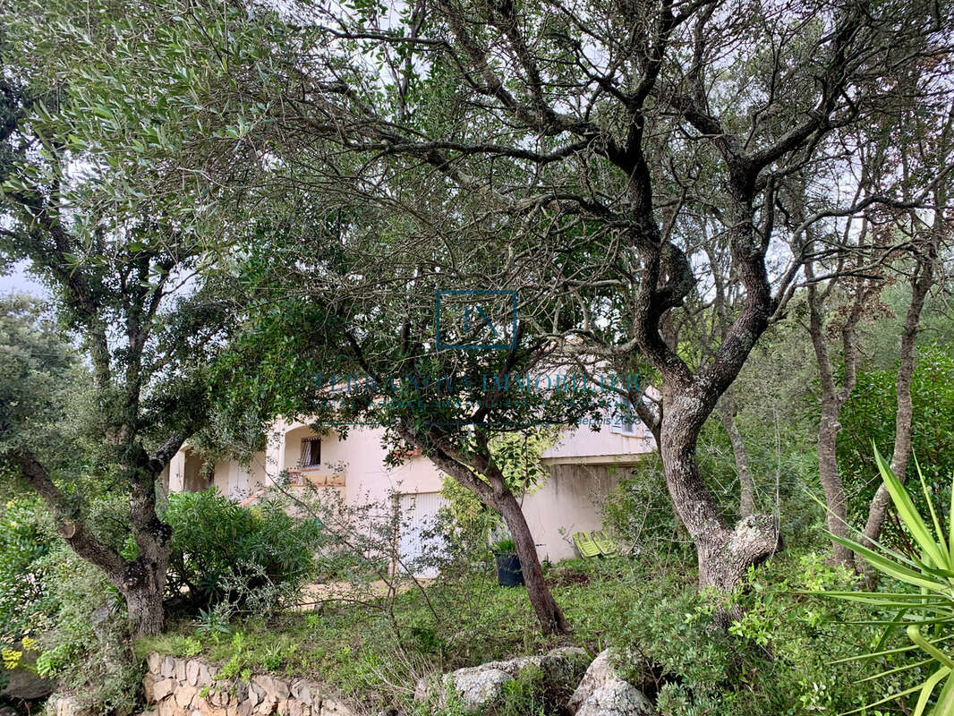 Villa plain-pied au coeur du Golfe du Valinco - photo 16