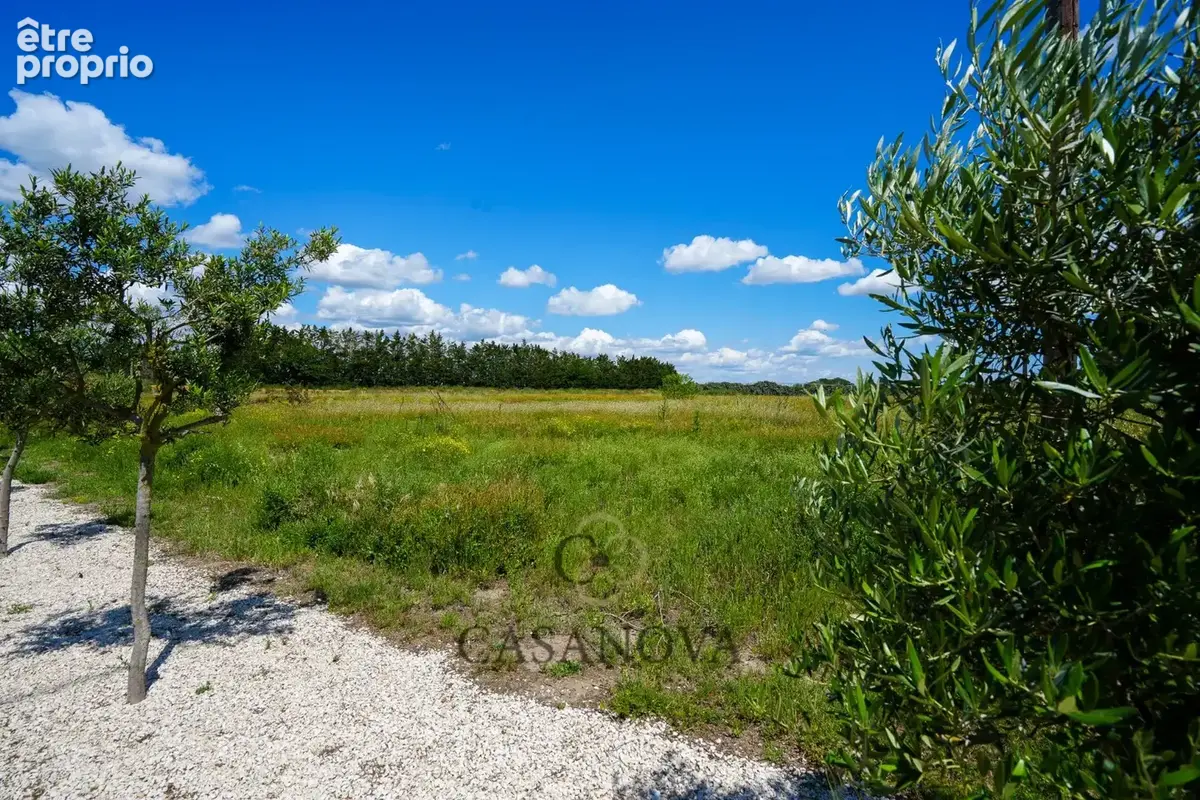 Mas Camarguais de 250 m² sur 2.6 hectares de terrain proche de Montpellier - photo 19