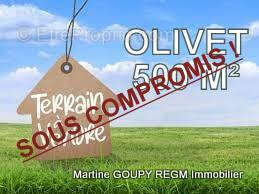 Terrain à OLIVET