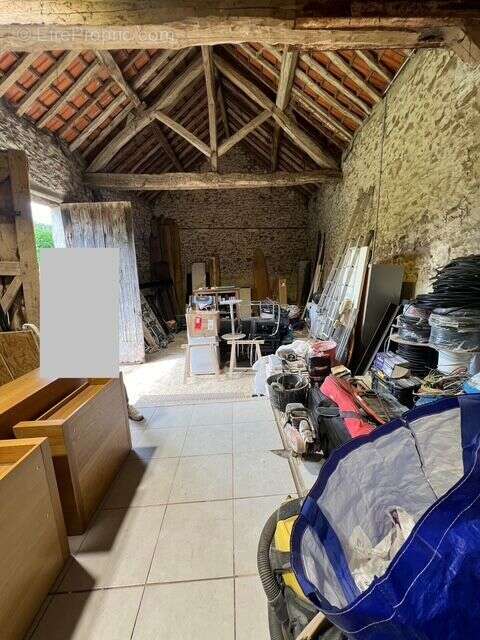 Terrain à SAINT-MAURICE-MONTCOURONNE