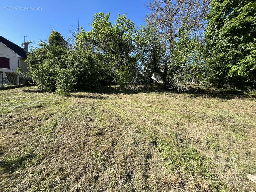 Terrain à SAINT-BENIN-D'AZY