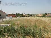 Terrain à BANYULS-DELS-ASPRES