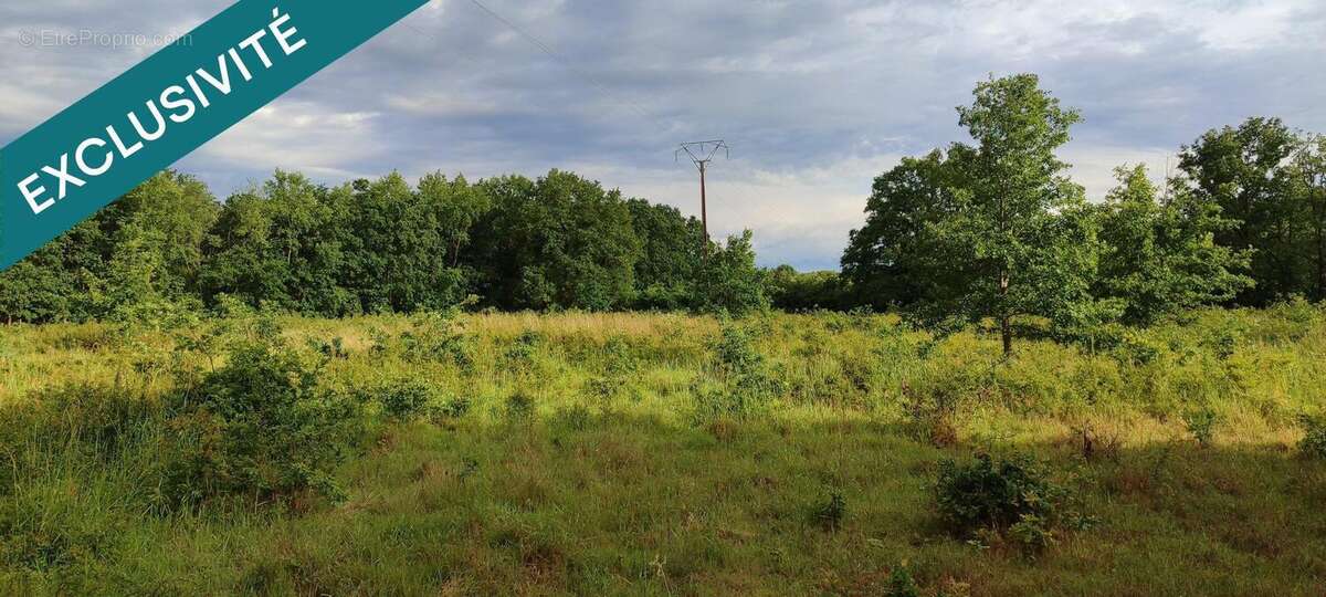 Photo 3 - Terrain à HUISMES
