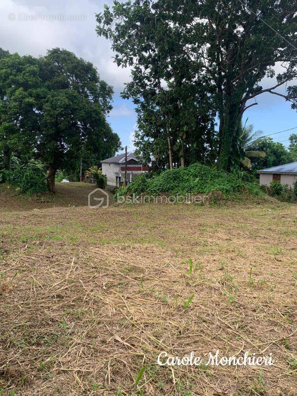 Terrain à CAPESTERRE-BELLE-EAU