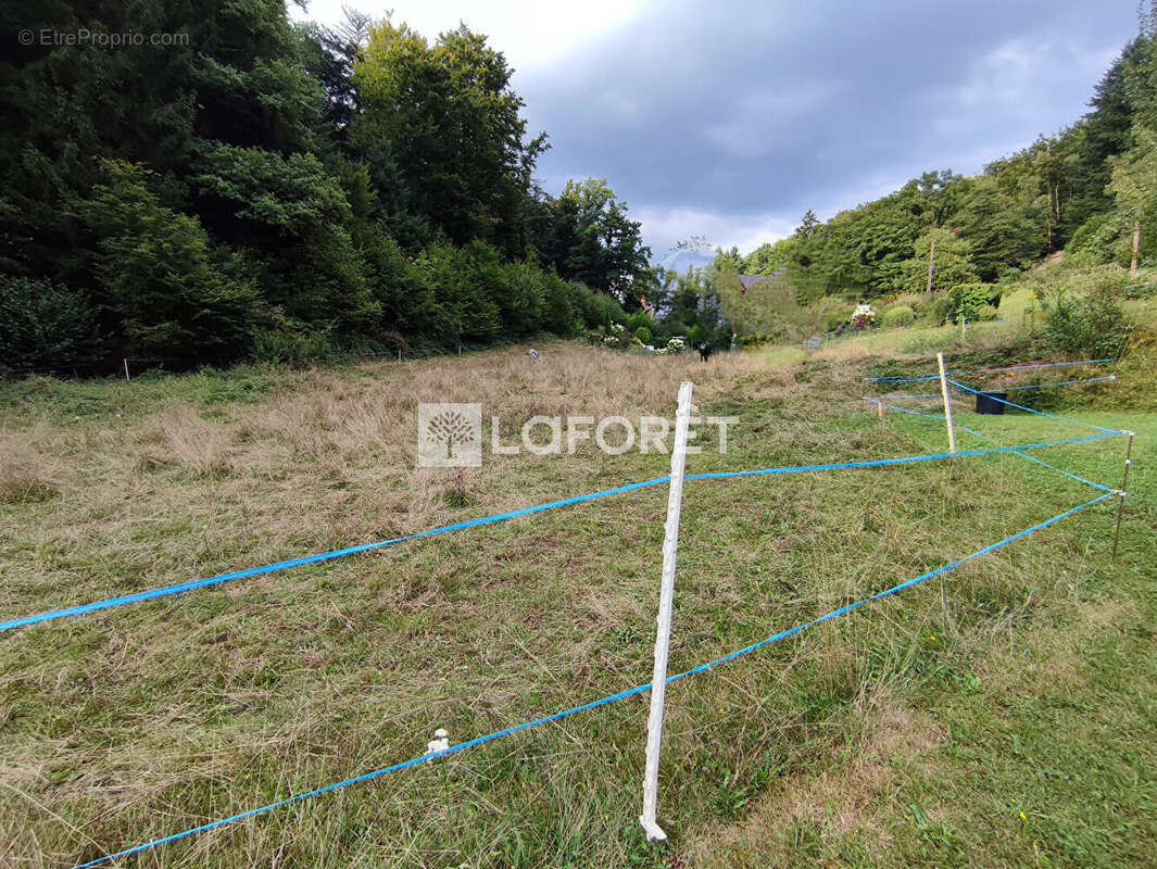 Terrain à ETUEFFONT