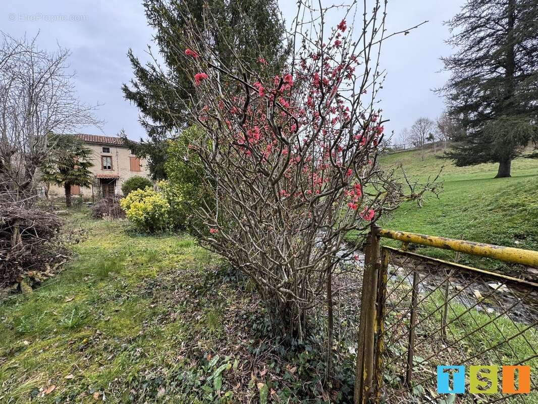 Fermette Comminges de 88 m² sur une parcelle de - photo 3