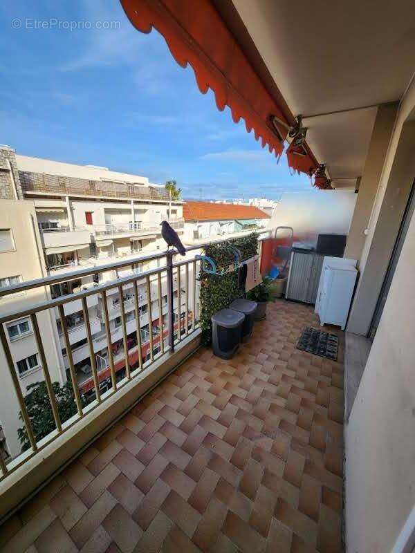   - Appartement à ANTIBES