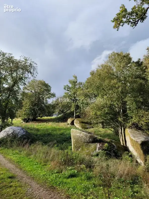 Maison avec exploitation agricole 150m2, 9 pièces - photo 11