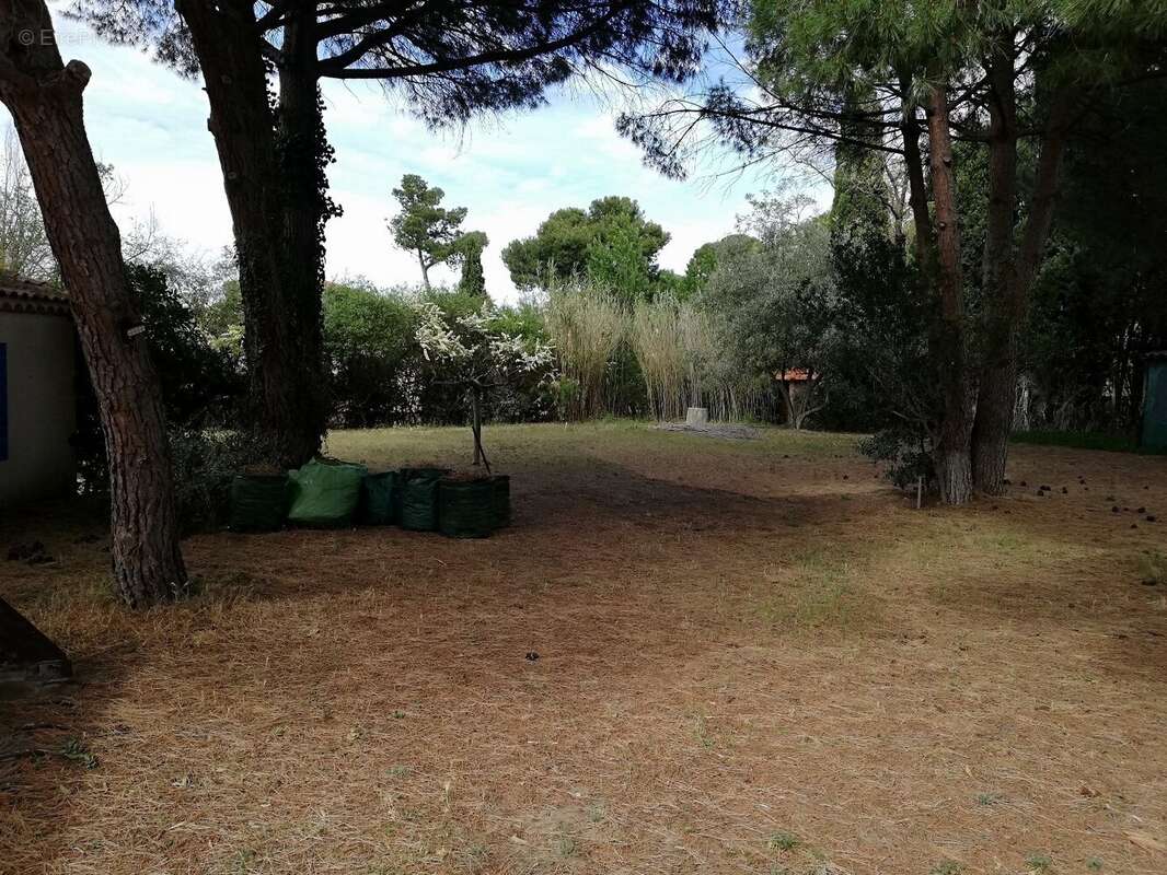 Terrain d'exception de 735 m² - photo 2