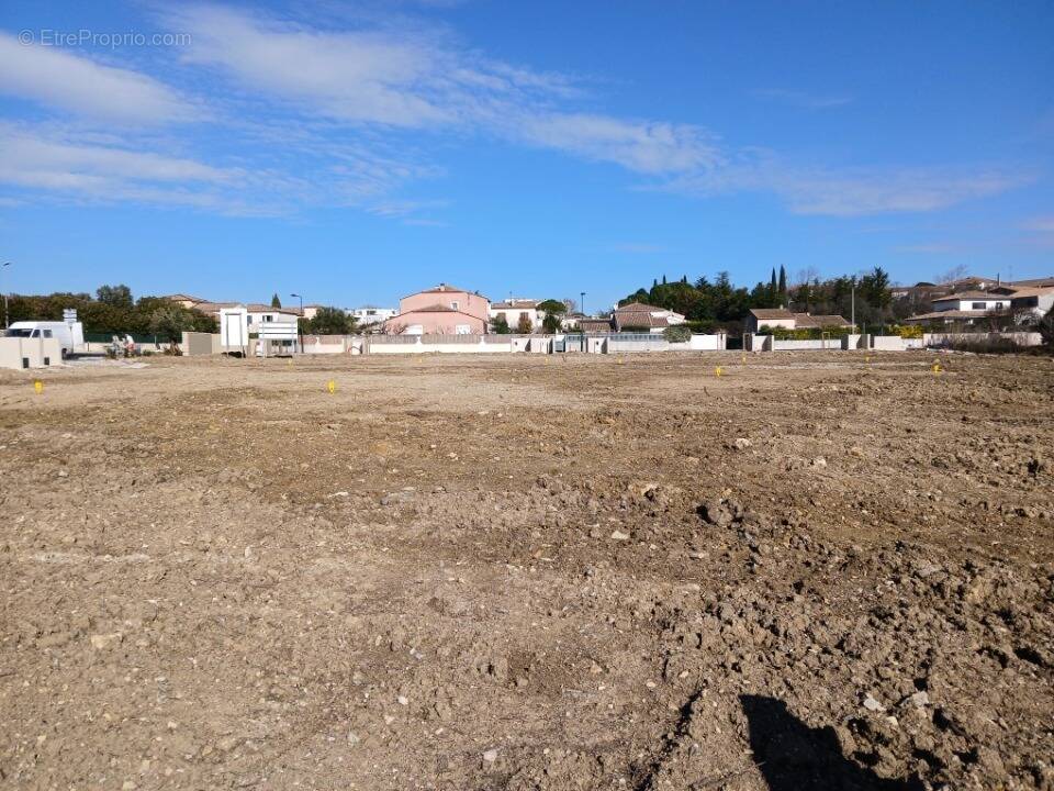 Terrain à SAINT-MATHIEU-DE-TREVIERS