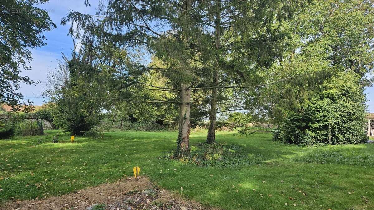 Terrain à SAINT-SOUPPLETS