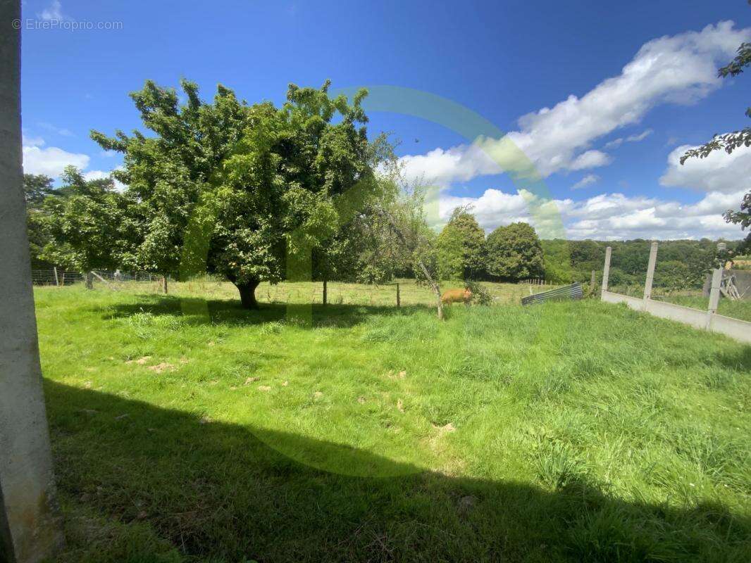 Commerce à LA FORET-DU-TEMPLE