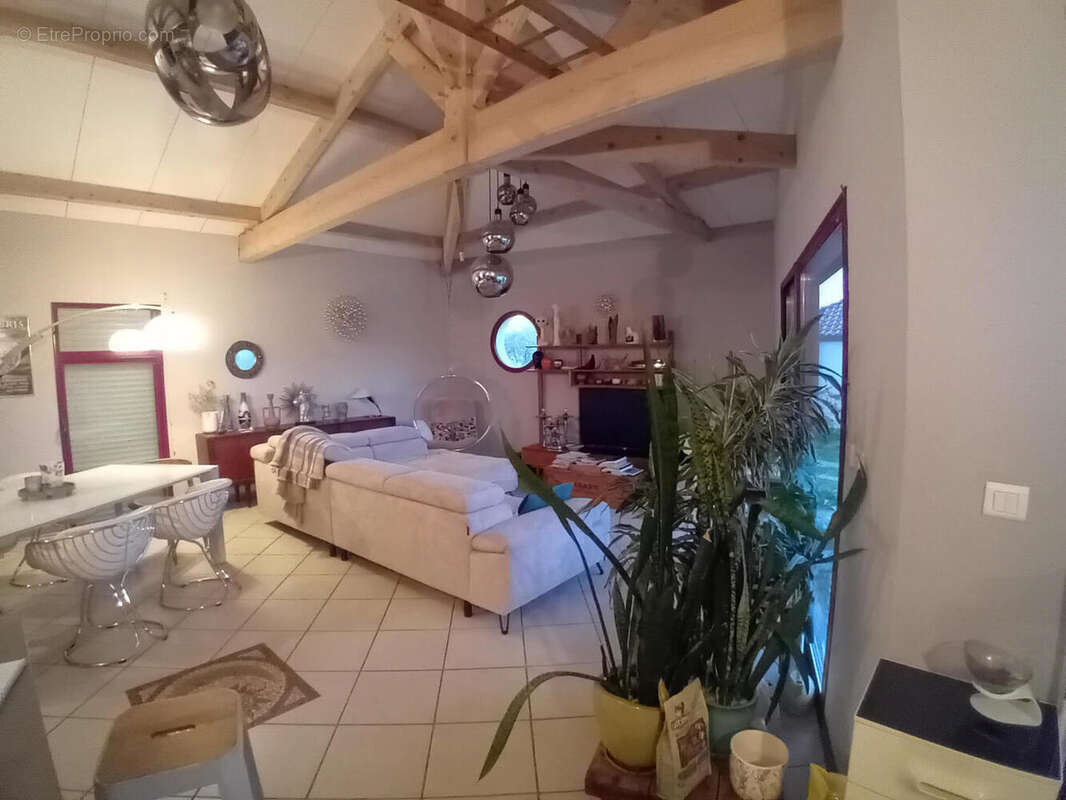 Salon - Maison à CATUS