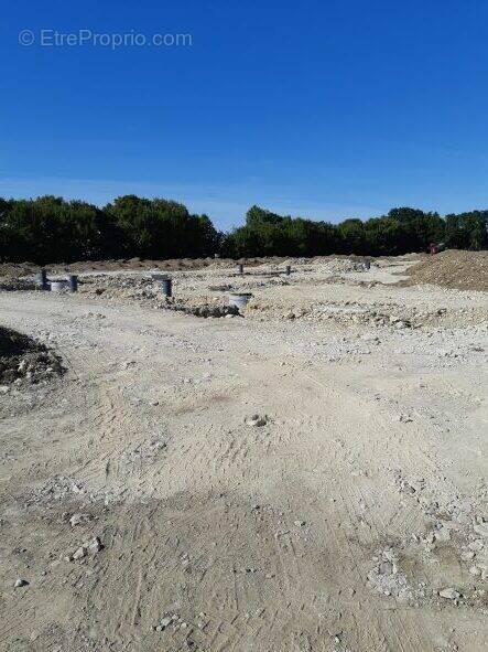 Terrain à SAINT-PERE-EN-RETZ