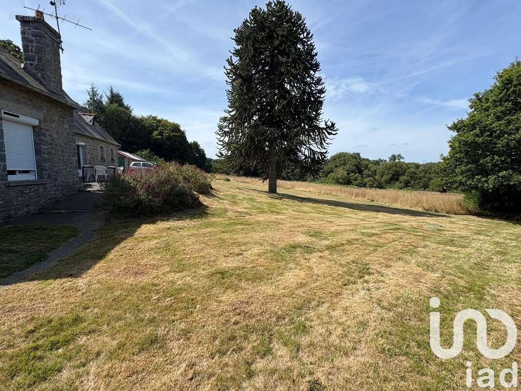 Photo 3 - Maison à PLESIDY