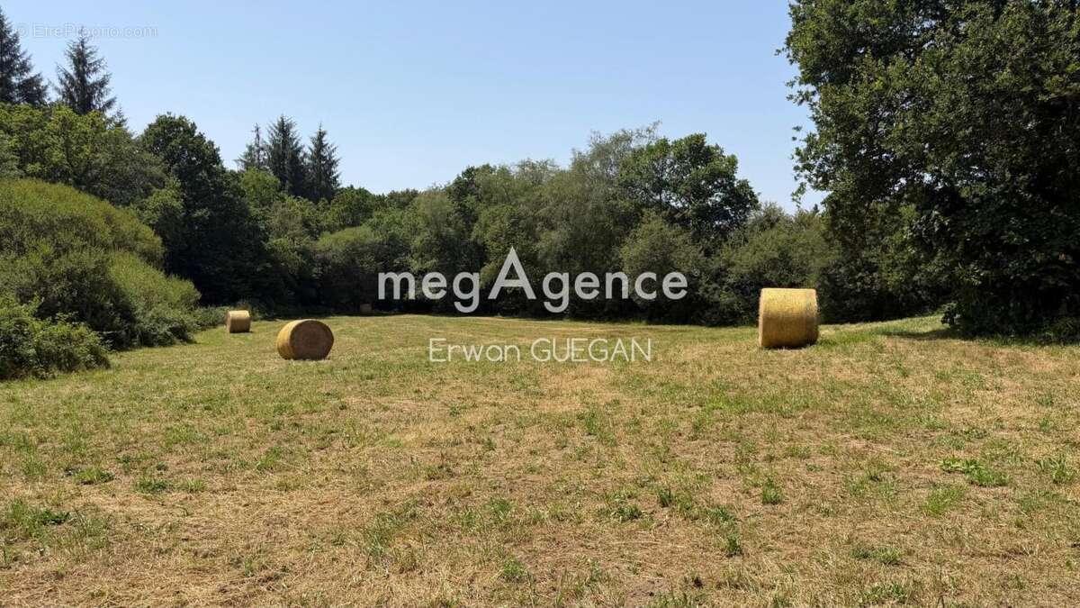 Longère et maison avec rapport locatif - photo 20