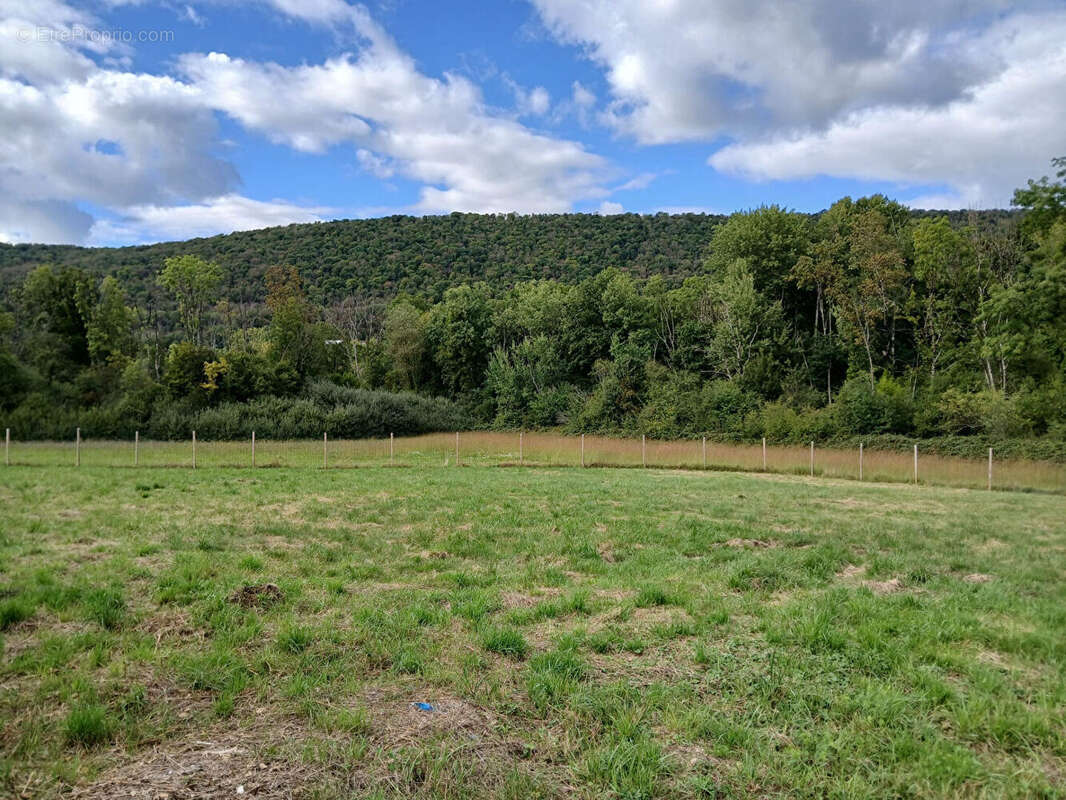 Terrain à BRAILLANS