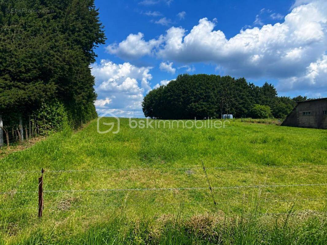 Terrain à SAINTE-OPPORTUNE-DU-BOSC