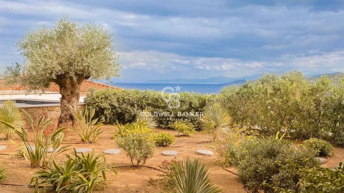 Maison à MONTICELLO