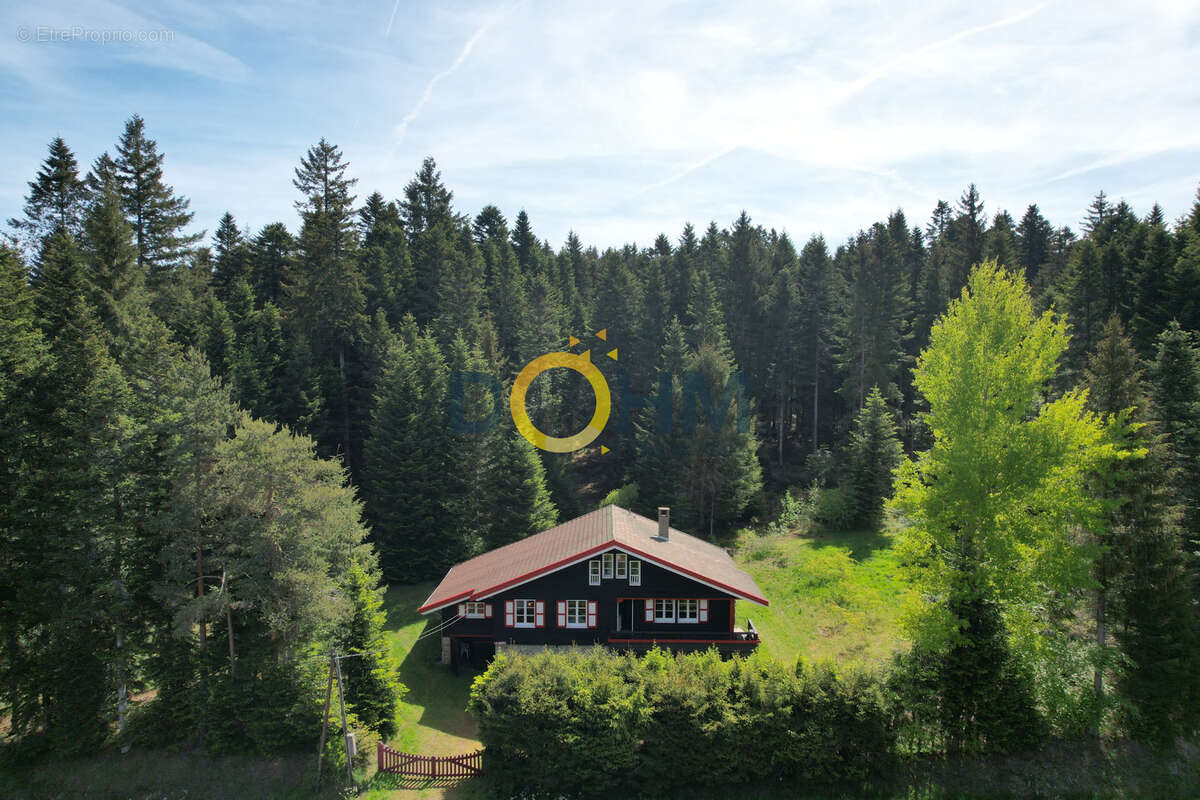Chalet sur 7819 m2 de terrain + possibilite 15130 m2 en plus  . 155 m2 habitables - photo 2