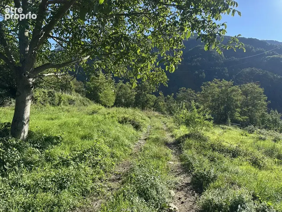 Beau terrain non constructible de 4138 m2 - photo 3