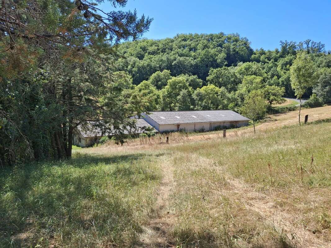 Grande maison familiale avec 2 hectares de terrain, dépendances et vue imprenable sur la campagne - photo 13