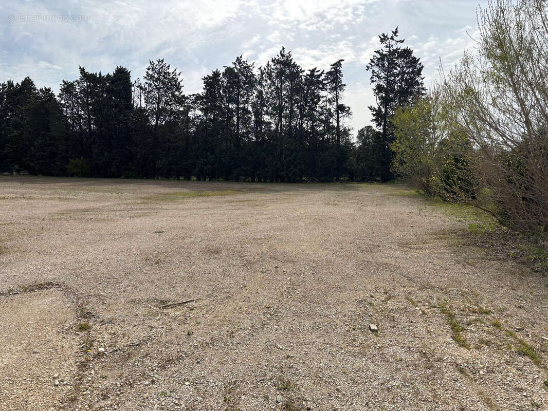 Terrain à CHEVAL-BLANC