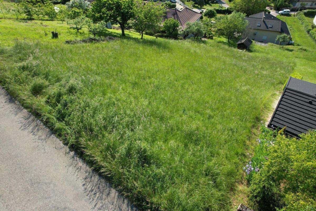 À VENDRE – Terrain constructible de 1 000 m² à Vaux-en-Bugey, vue dégagée rare - photo 2