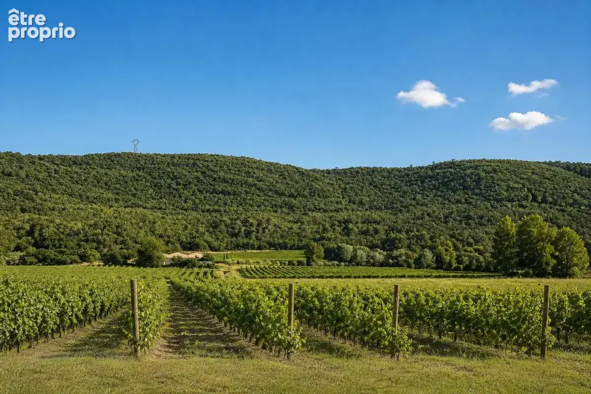 Maison 3 pièces - 57 m² - Esparron-de-Pallières - photo 19