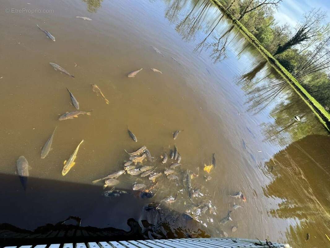 Maison à CHATEAUPONSAC