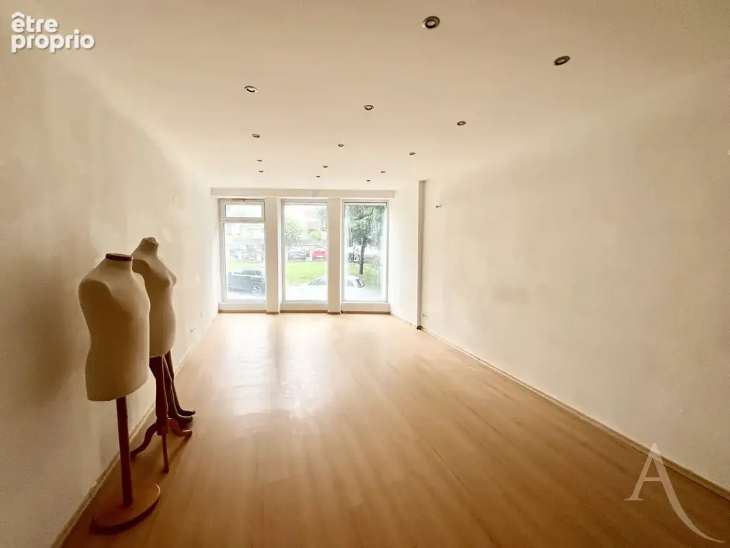 Appartement type F4  + local commercial indépendant - photo 8