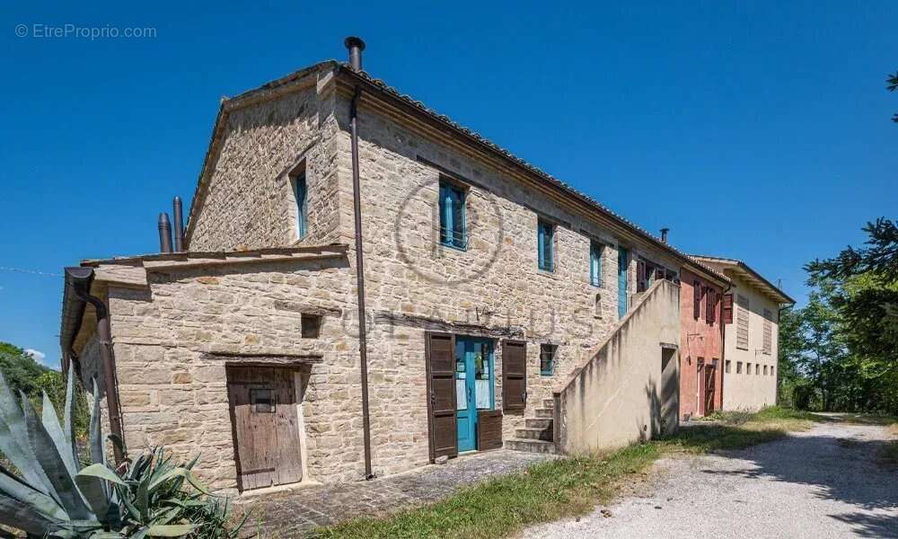 Ferme avec appartements, laboratoire de transformation et boutique à la ferme — Le Marche - photo 20