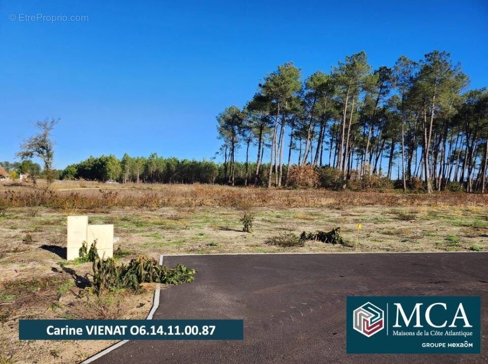 Terrain à PISSOS