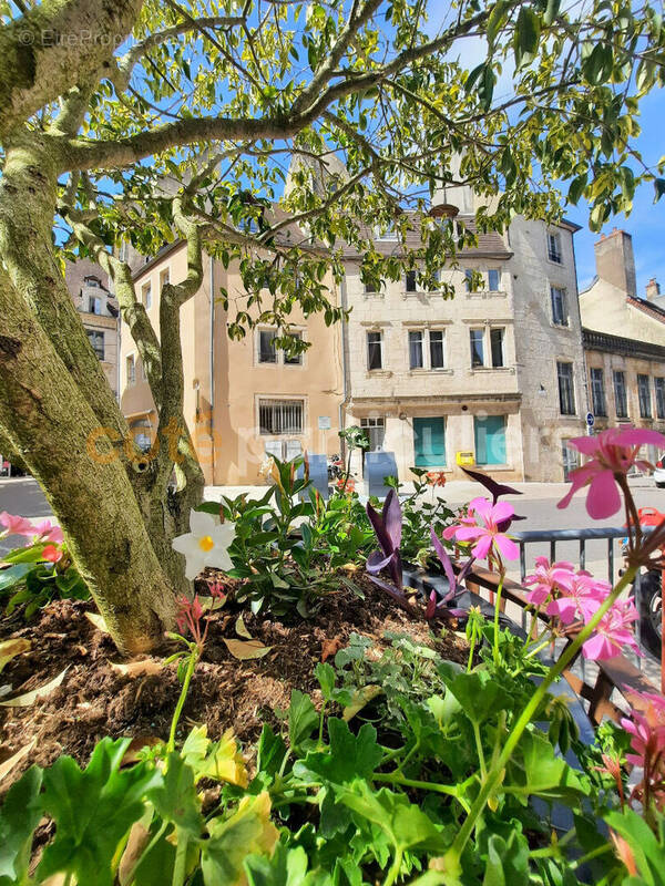 Appartement à DOLE