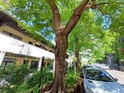 Commerce à SAINT-DENIS