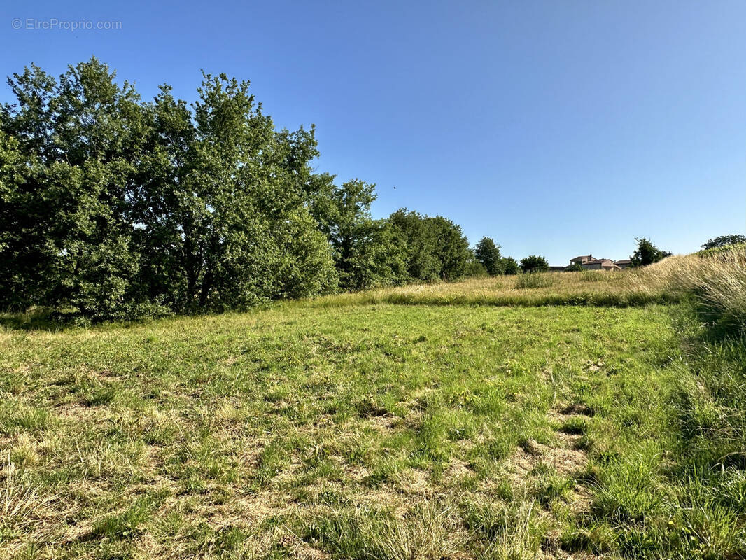 Terrain à CUNAC