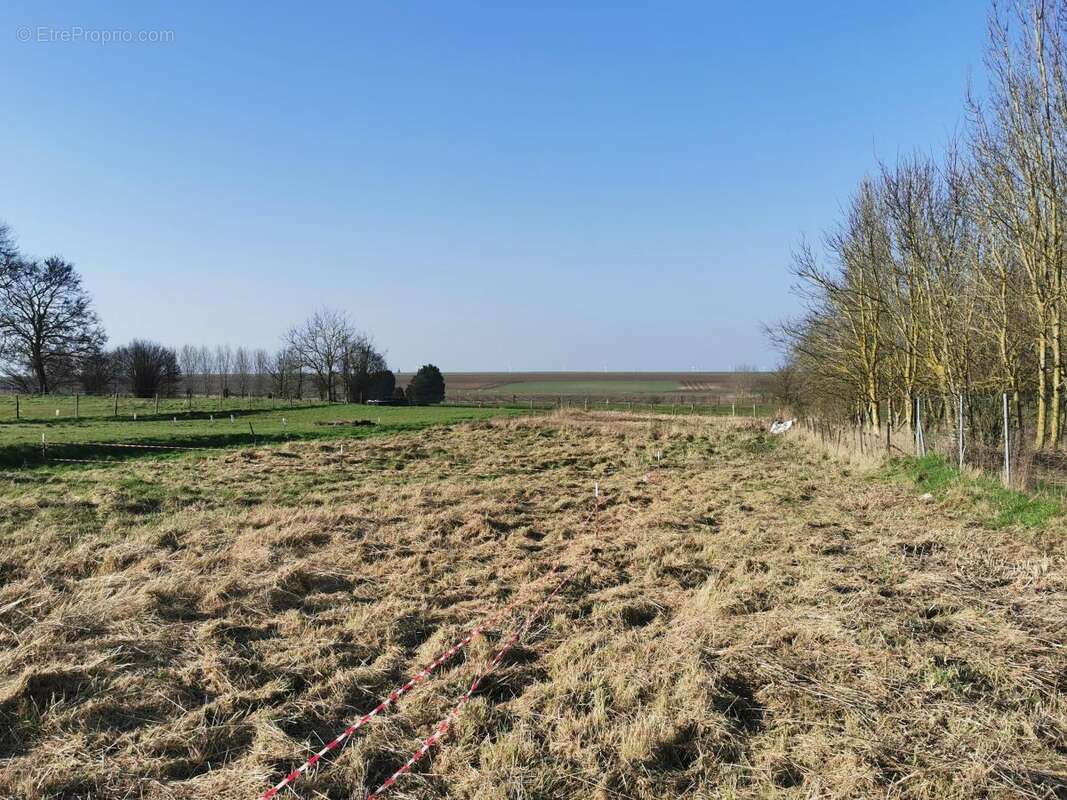 Terrain à MARQUION