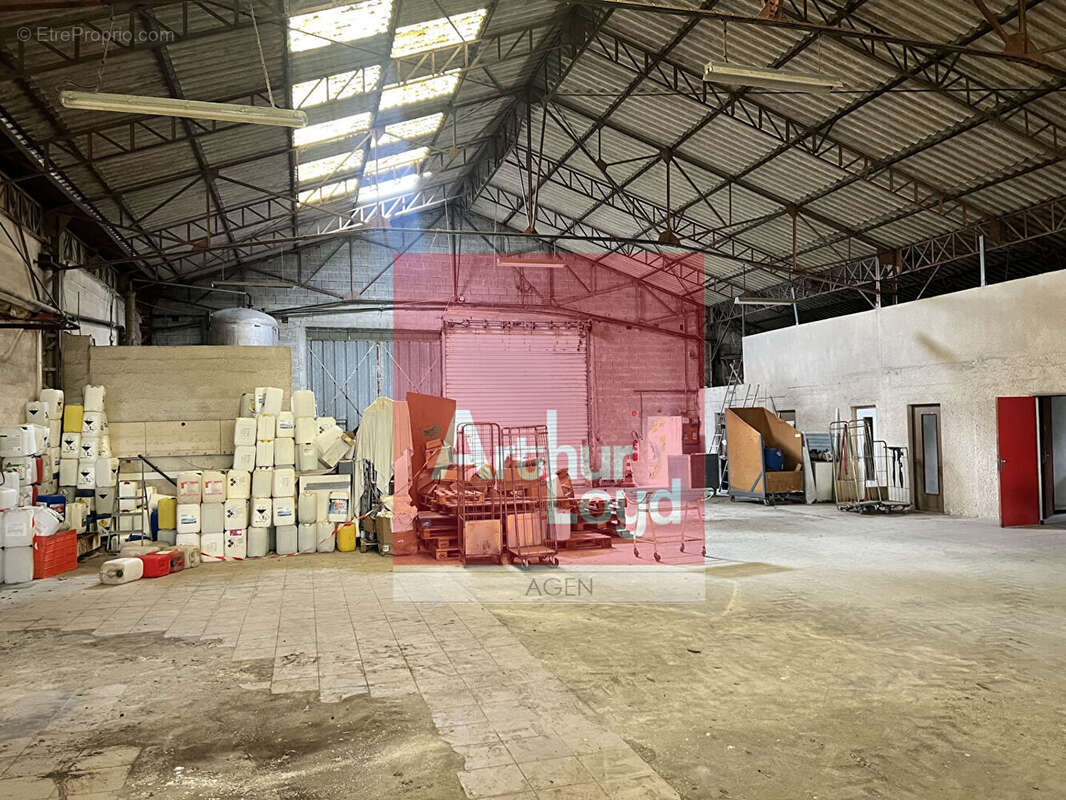 Commerce à BON-ENCONTRE