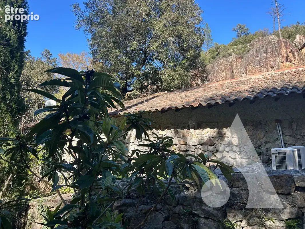 Bastide en pierre sur 1 hectare avec rivière, un lieu unique proche callas - photo 4