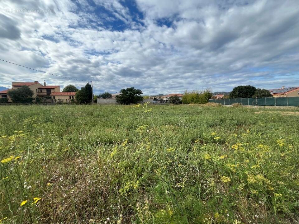 Terrain à ILLE-SUR-TET