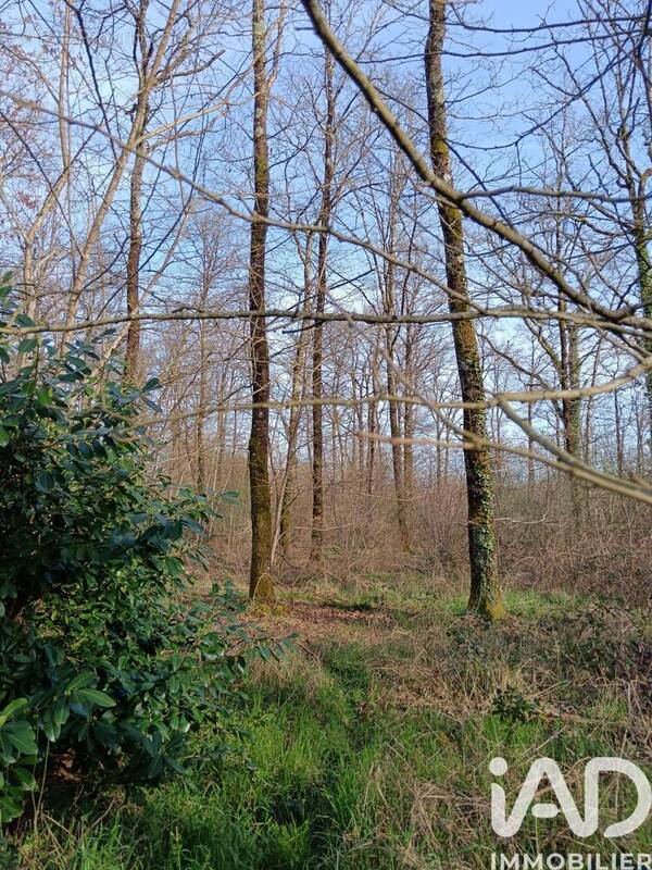 Photo 1 - Terrain à SAINTE-GEMME