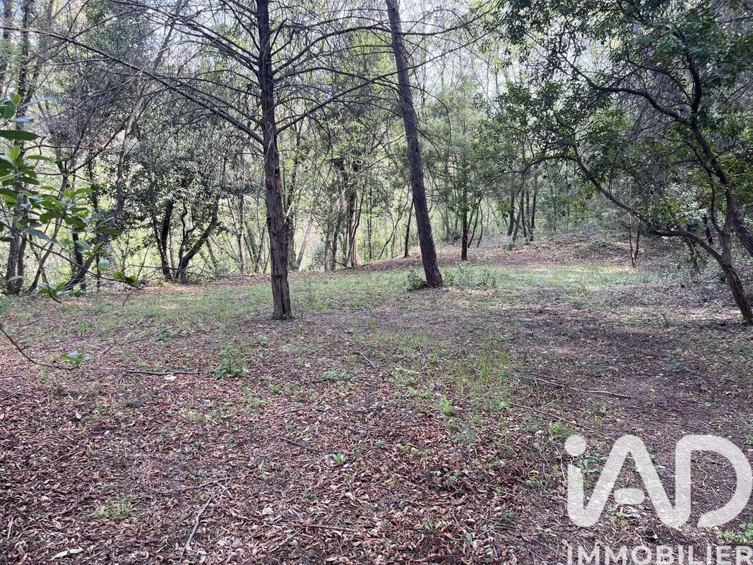 Photo 6 - Terrain à PEGOMAS