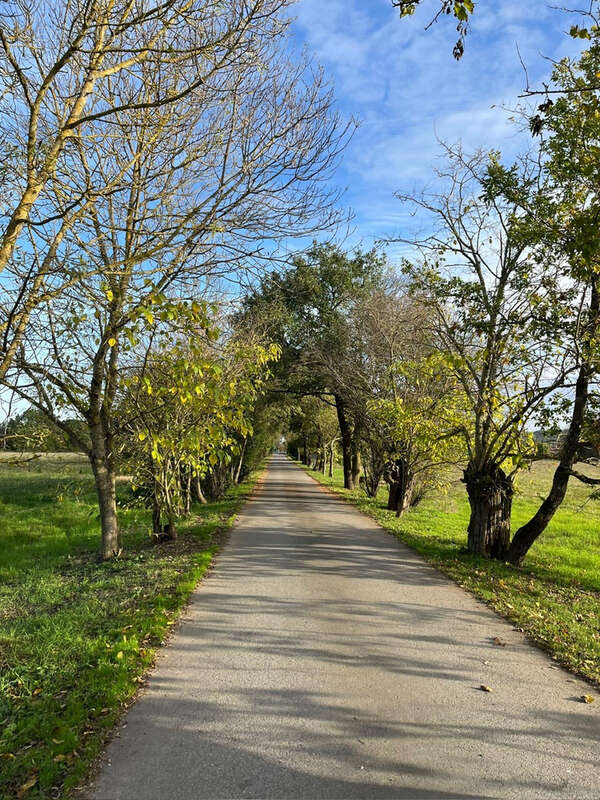 Appartement à MURET