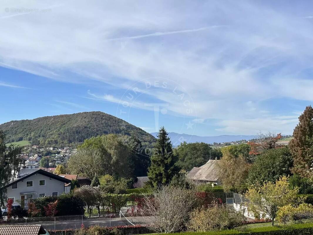 Terrain à VILLY-LE-PELLOUX