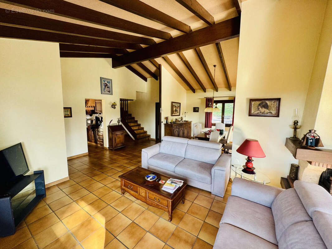 salon (4) - Maison à VETRAZ-MONTHOUX