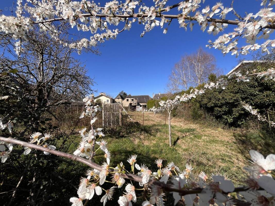 Terrain à OSSUN